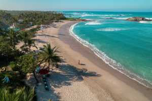 Aerial view of Punta de Mita beach with surfers, turquoise waves, and lush palm trees